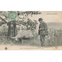 COCHONS -MK52841 UN HOMME ET UN COCHON CHERCHANT LA TRUFFE