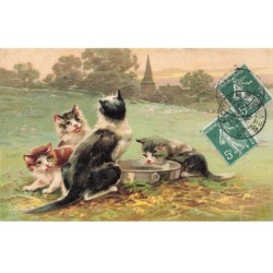 CHATS AI-DC939 CHATS DANS UN PRE AUTOUR DE LEUR GAMELLE