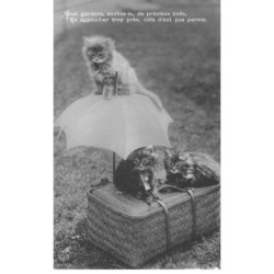 CHATS AC-MK899 CHATONS PANIER PARAPLUIE