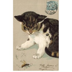 CHATS AC-MK950 UN CHAT ET UNE ABEILLE