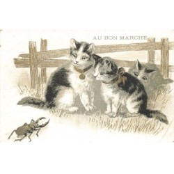 CHATS AI-DC944 CHATS ET UN SCARABEE + PUB BON MARCHE PARIS
