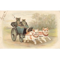 CHATS AI-DC933 ATTELAGE DE CHATS ET EN CALECHE