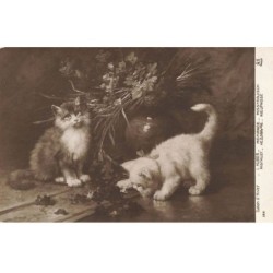 CHATS AC-MK926 SALON D HIVER MEFIANCE L HUBER