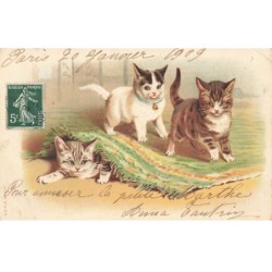 CHATS AI-DC931 CHATS QUI JOUENT AVEC UN TAPIS