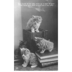 CHATS AC-MK903 CHATONS SUR DES LIVRES