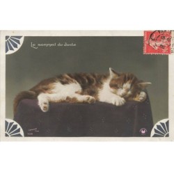 CHATS AC-MK934 UN CHAT QUI DORT