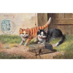 CHATS AC-MK942 CHATS ET CAGE A SOURIS
