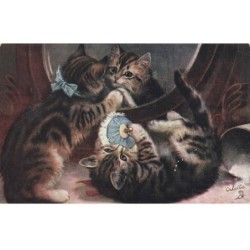 CHATS AI-DC918 CHATS QUI JOUENT DEVANT UN MIROIR
