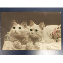 CHAT CAT -FG54438 COUPLE DE CHATS BLANCS CARTE A SYSTEME PERLES
