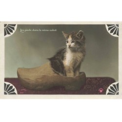 CHATS AC-MK932 CHAT DANS UN SABOT