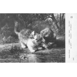CHATS AC-MK909 SALON D HIVER TROP TARD L HUBER CHATONS