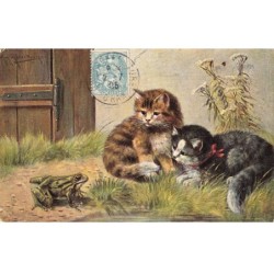 CHATS AC-MK936 DEUX CHATS TIGRE ET NOIR ET UNE GRENOUILLE