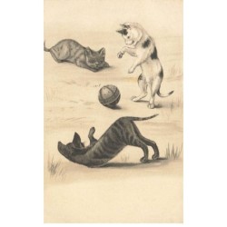 CHATS AG-MK051 TROIS CHATS QUI JOUENT A LA BALLE