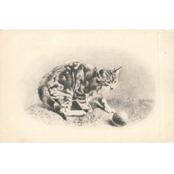 CHATS AC-MK914 CHAT TIGRE AVEC UNE BALLE PAR ILLUSTRATEUR ANDERS