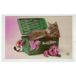 CHAT -17076 CHAT DANS UN PANIER EN OSIER AVEC DES ROSES BONNE ANNEE