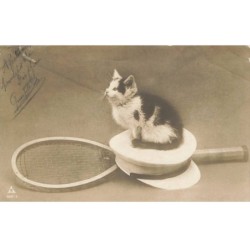 CHATS AC-MK935 UN CHAT BLANC ET NOIR CASQUETTE RAQUETTE DE TENNIS