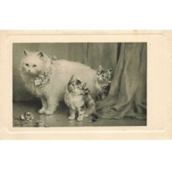 CHATS AG-MK046 UNE CHATTE A POIL BLANC ET DEUX CHATONS FLEURS