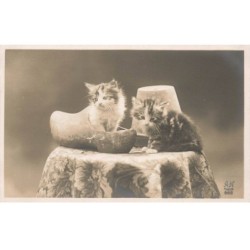 CHATS AG-MK033 DEUX CHATONS SABOT
