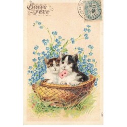 CHATS -MK40096 BONNE FETE DEUX CHATS DANS UN PANIER FLEURS MYOSOTIS