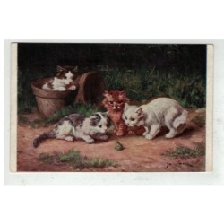 CHAT -17107 GROUPE DE CHATS CURIEUX DEVANT UNE GRENOUILLE