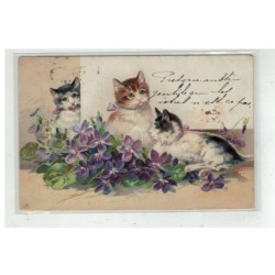 CHAT -17070 3 CHATS TIGRES PRES D UN BOUQUET DE MYOSOTIS