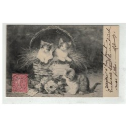 CHAT -17085 GROUPE DE CHATONS DANS UN PANIER