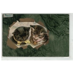 CHAT NOIR -17148 CAT BLACK KATZEN BEAUX CHATS A NOEUDS SORTANT D UNE FEUILLE CREVE