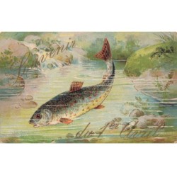 POISSONS -MK52827 SOUVENIR DU 1 ER AVRIL UN POISSON CARPE