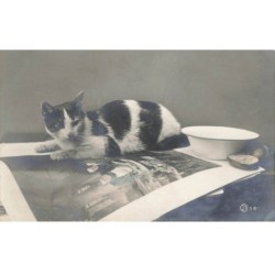 CHATS -MK40095 CHAT NOIR ET BLANC ALLONGE SUR UNE GRANDE PHOTO