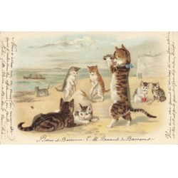 CHATS -MK40108 CHATS A LA PLAGE JUMELLE