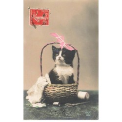 CHATS -MK40089 CHATON NOIR ET BLANC DANS UN PANIER COUTURE FIL CISEAUX