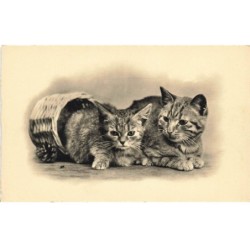 CHATS -MK40080 DEUX CHATS ALLONGE