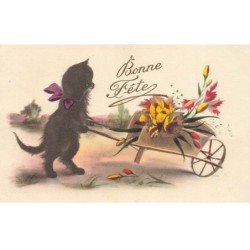 CHAT NOIR -FG58461 POUSSANT UNE BROUETTE CHARGEE DE FLEURS BONNE ANNEE EDIT MGA NUM 715