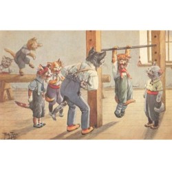 CHAT -FG35071 CAT KATZEN 3 CARTES DIFFERENTES ILLUSTRATEUR THIELE