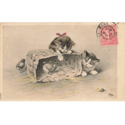 CHAT -26225 2 CHATONS JOUANT AVEC UNE CAISSE ET DES POUSSINS