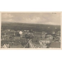 OISEAUX AG-MK856 DEUX CIGOGNES DANS UN NID CARTE PHOTO