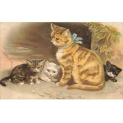 CHAT -25884 CHATS CHATONS ET CHATTE TIGRE CAT KITTY