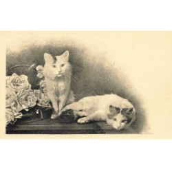 CHATS -MK39984 DEUX CHATS BLANC BOUQUET DE ROSES