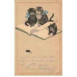 CHATS -MK43629 TROIS CHATS ASSIS SUR UN LIVRE RUBAN BLEU
