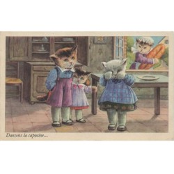 CHAT -35269 CHATS CAT KATZE CHATS HUMANISES DANSONS LA CAPUCINE
