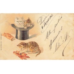 CHATS -MK39974 CHATS DANS UN CHAPEAU PAR ILLUSTRATEUR WEICK