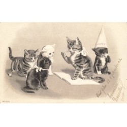 CHATS -MK43642 CHAT ET CHATONS TIGRE NOIR BLANC