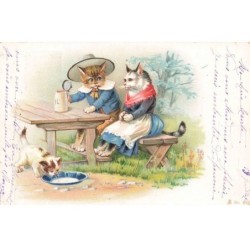 CHATS -MK39967 CHATS HUMANISER HABILLE ASSIS SUR UN BANC CHAPEAU ROBE BOL DE LAIT PAR ILLUSTRATEUR