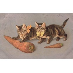 CHATS -MK43622 CHATS NOEUD PAPILLON CAROTTES