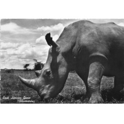 RHINOCEROS AL-AL00579 RHINOCEROS EAST AFRICAN GAME