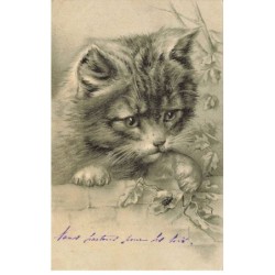 CHAT -35261 CHATS CAT KATZE PORTRAIT DE CHAT ET COCCINELLE GAUFREE