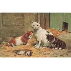CHAT -35265 CHATS CAT KATZE MAMAN CHAT ET CHATONS ONT TUENT UN RAT LA LECON
