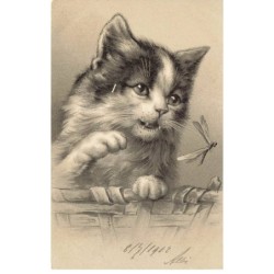 CHAT -35257 CHATS CAT KATZE PORTRAIT DE CHAT AVEC LIBELLULE GAUFREE