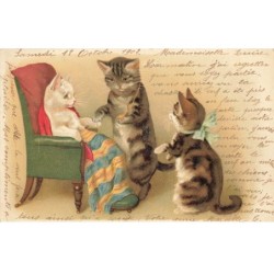 CHATS -MK39988 CHATS HUMANISER FAUTEUIL COLLIER NOEUD PAPILLON
