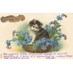 CHATS -MK39998 HEUREUX NOEL CHAT DANS UN PANIER DE FLEURS MYOSOTIS BLEU